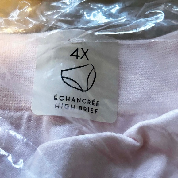 HIGH CUT BRIEFS, NYLON SPANDEX, BALLET PINK, SIZE 4X, SEAMLESS, DéESSE COLLECTIO - Picture 2 of 3